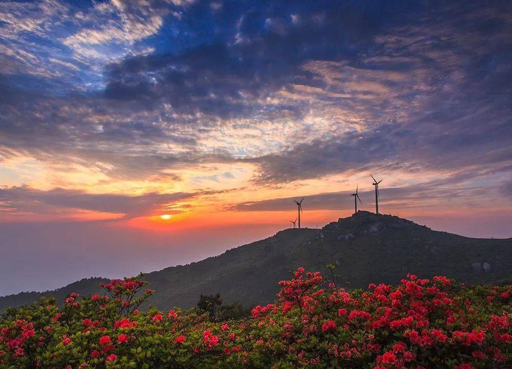 华顶国家森林公园：四季美景，天然氧吧