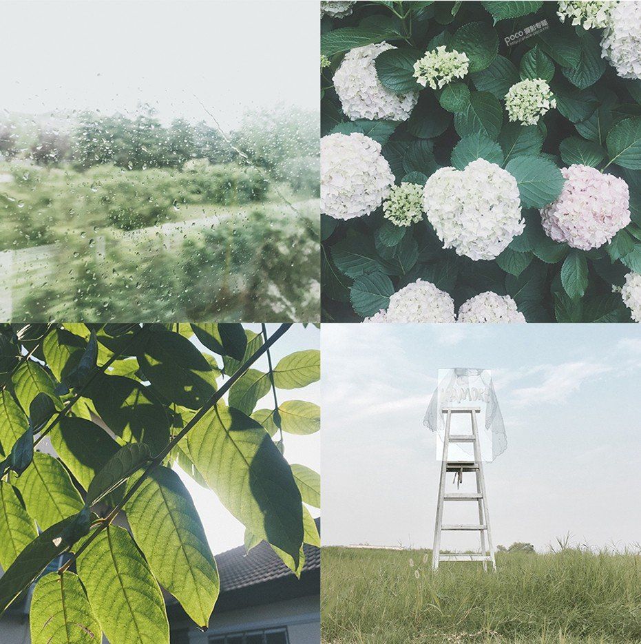 14条手机摄影的“潜规则”技巧