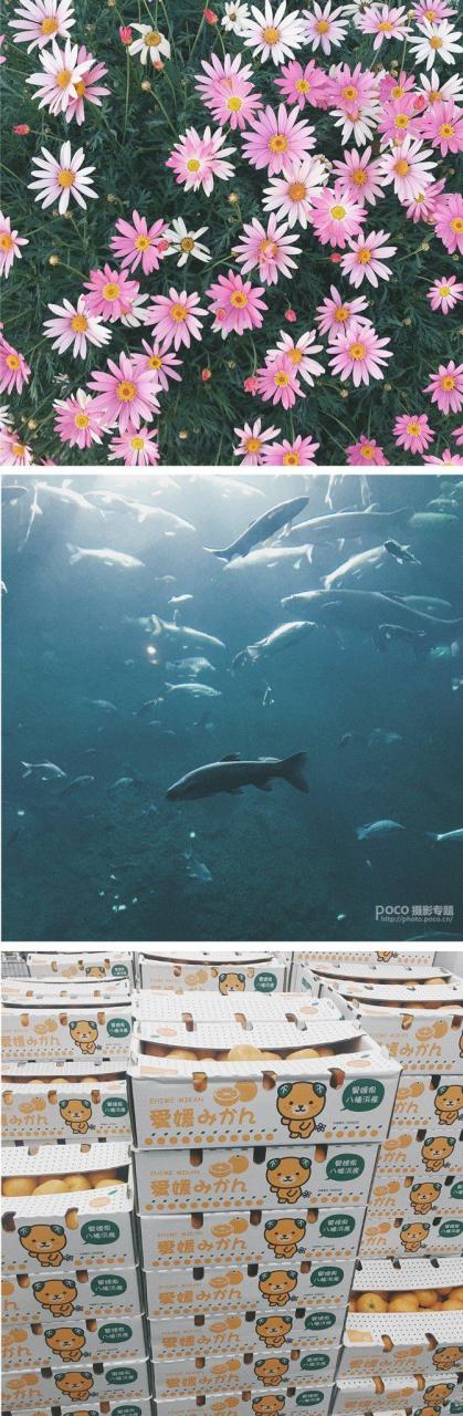 14条手机摄影的“潜规则”技巧