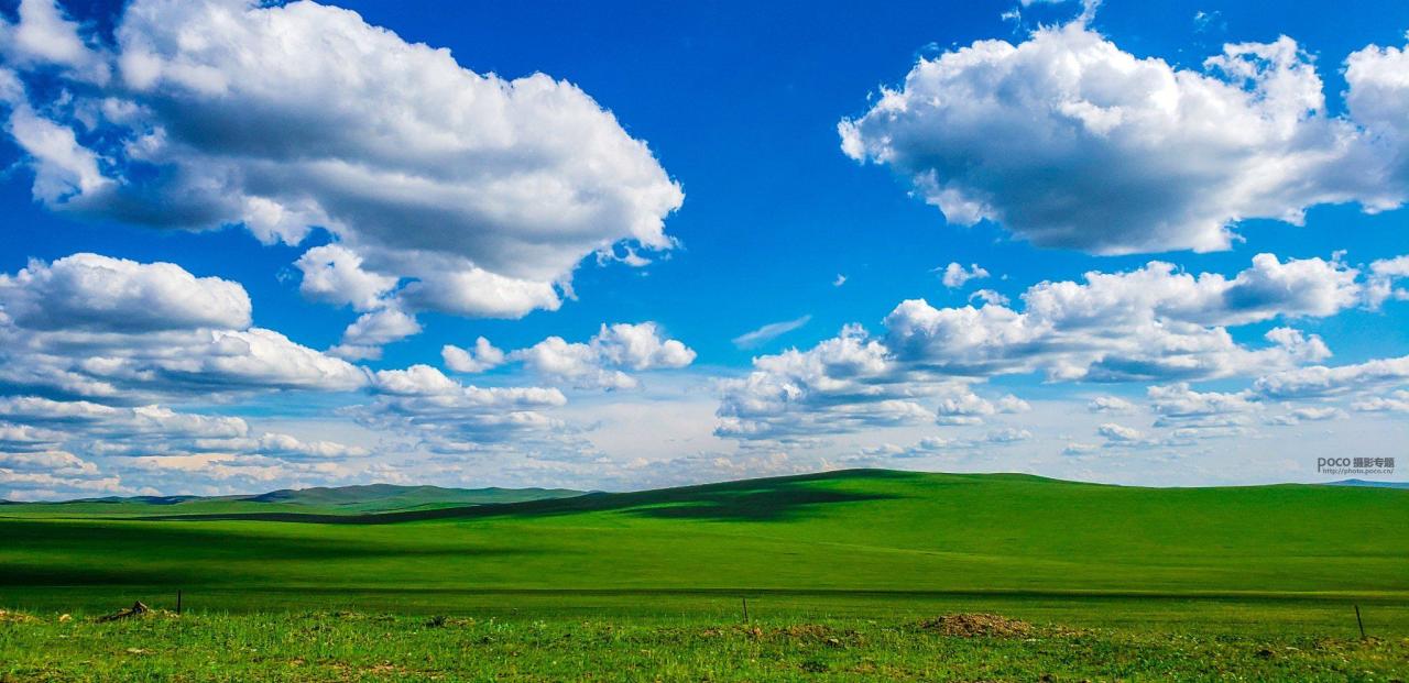 手机摄影掌握好这些构图和用光技巧