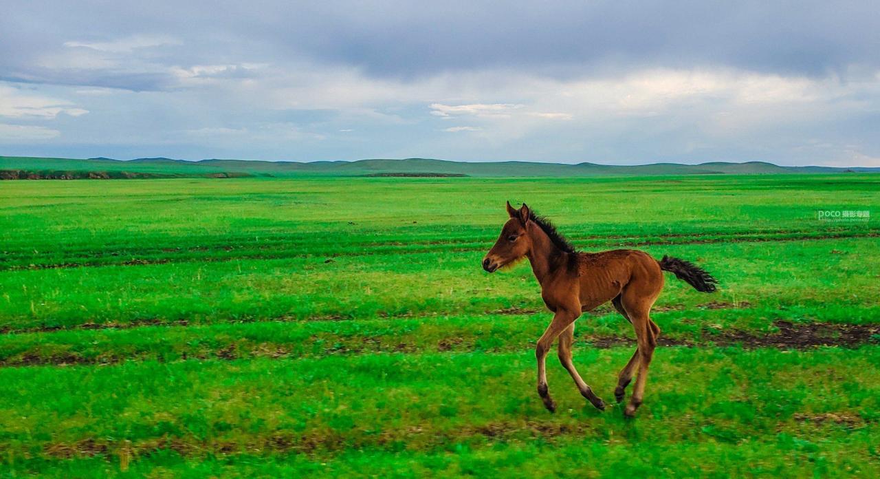 手机摄影掌握好这些构图和用光技巧