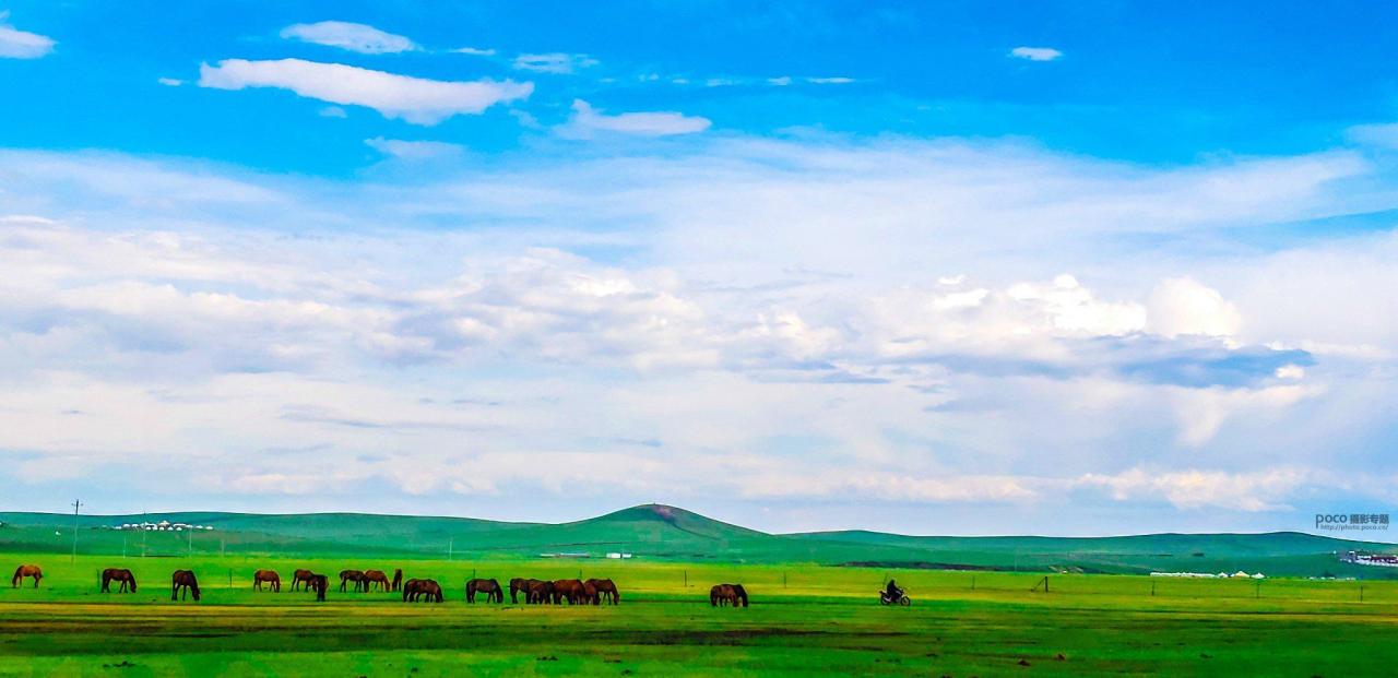手机摄影掌握好这些构图和用光技巧