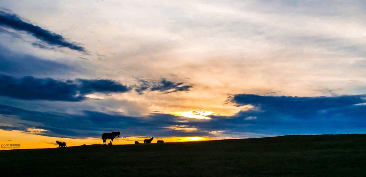 手机摄影掌握好这些构图和用光技巧