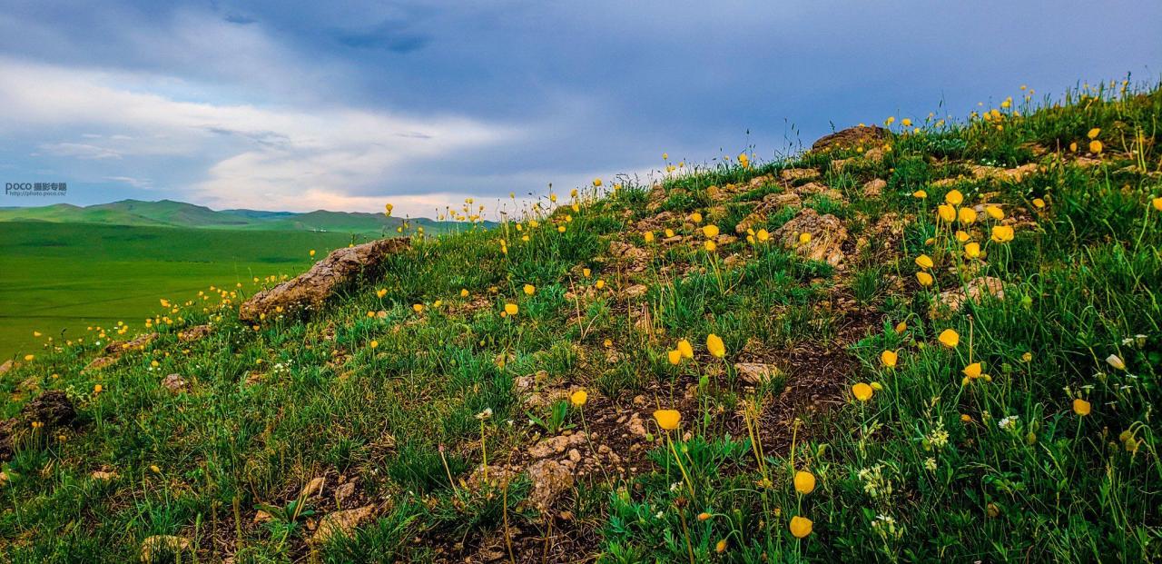 手机摄影掌握好这些构图和用光技巧