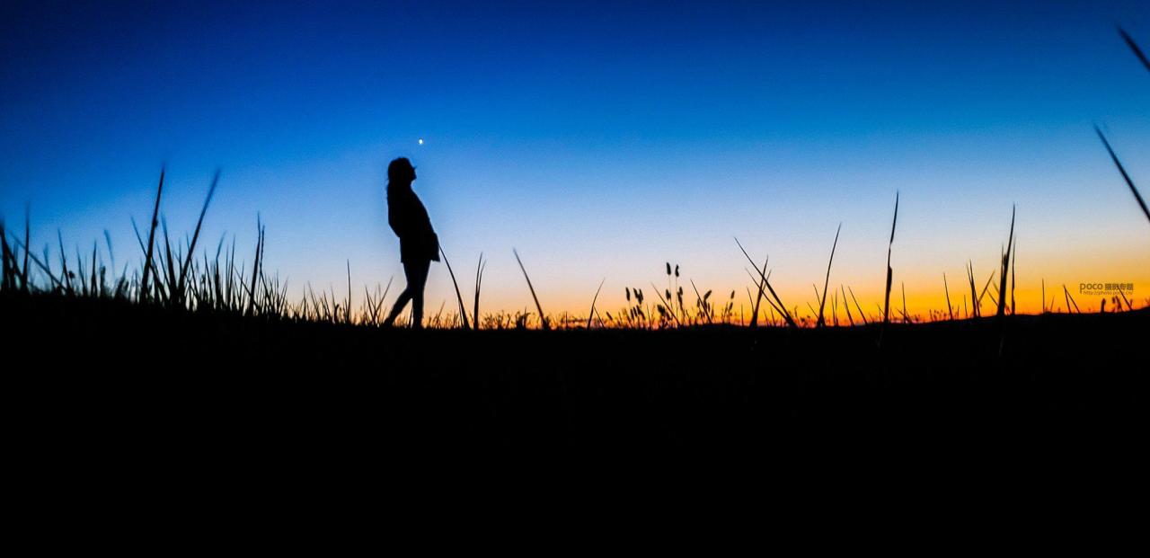 手机摄影掌握好这些构图和用光技巧