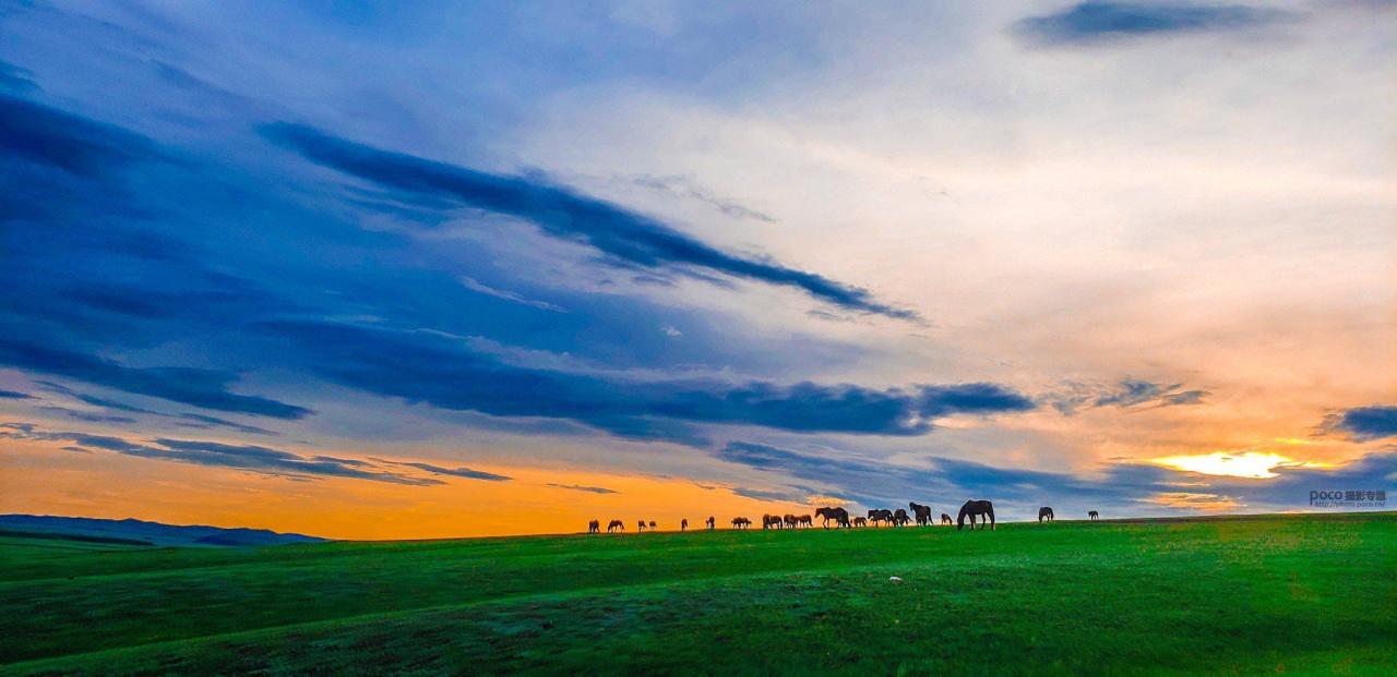 手机摄影掌握好这些构图和用光技巧