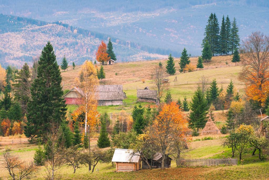 爸爸带我去嬉戏