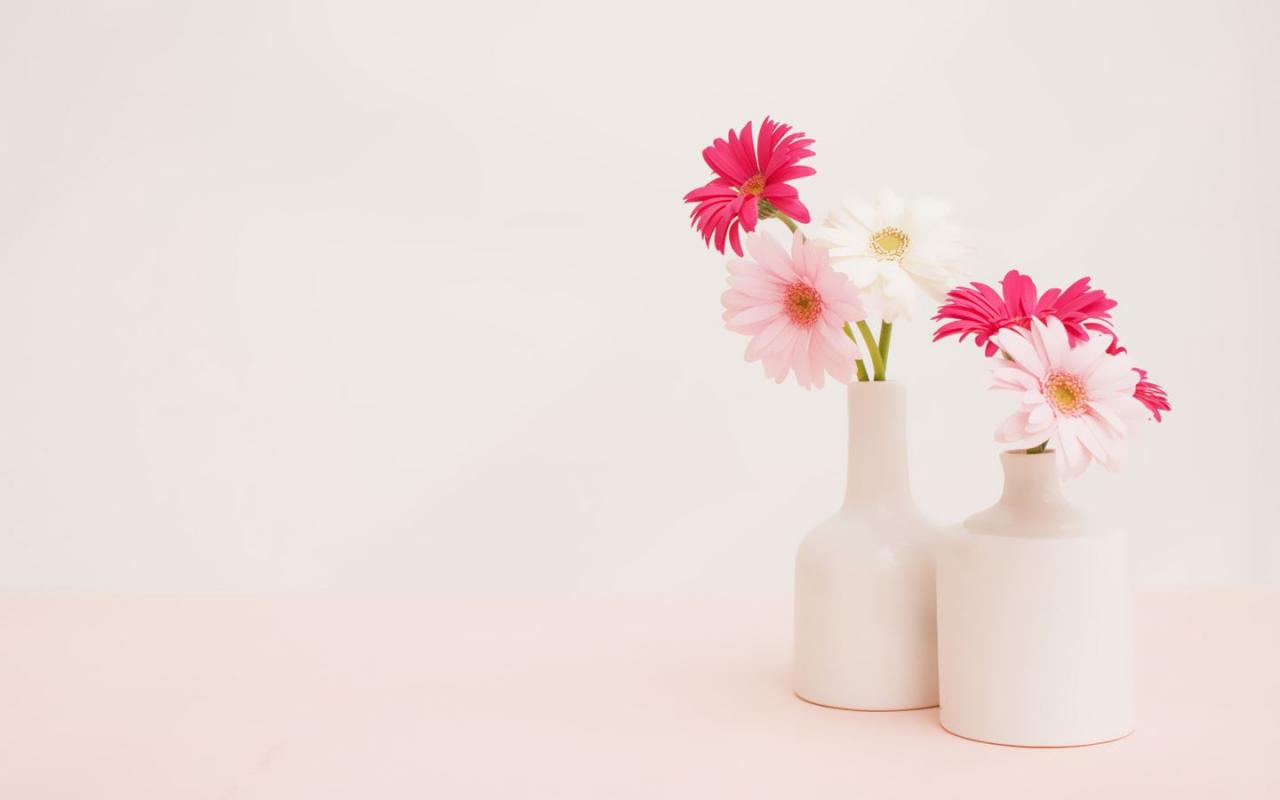 重新申请SSL证书网址前面的小绿锁又回来了