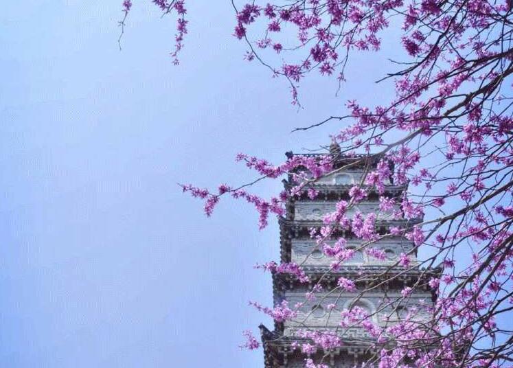 现在的小朋友真是煞噶