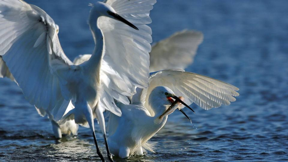始丰湖是我家的后花园