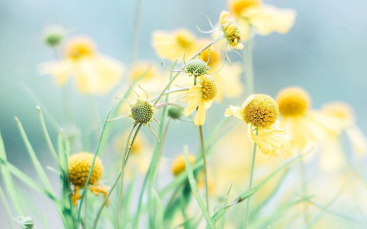 不以为然的前车之鉴后果很严重