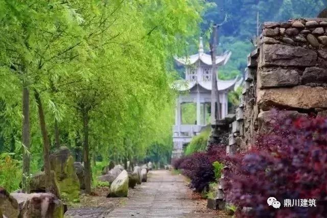 来我们天台选一处高颜值乡村 做个闲云野鹤的隐者