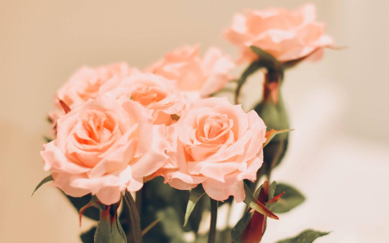 幽兰无人赏，自盛开！