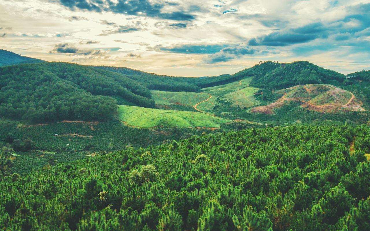 我不能在没有她的爱之下生活 听《 She’s Gone》有感