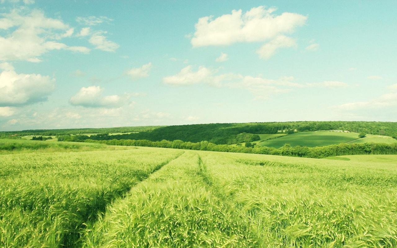 好书分享–亲亲我的妈妈