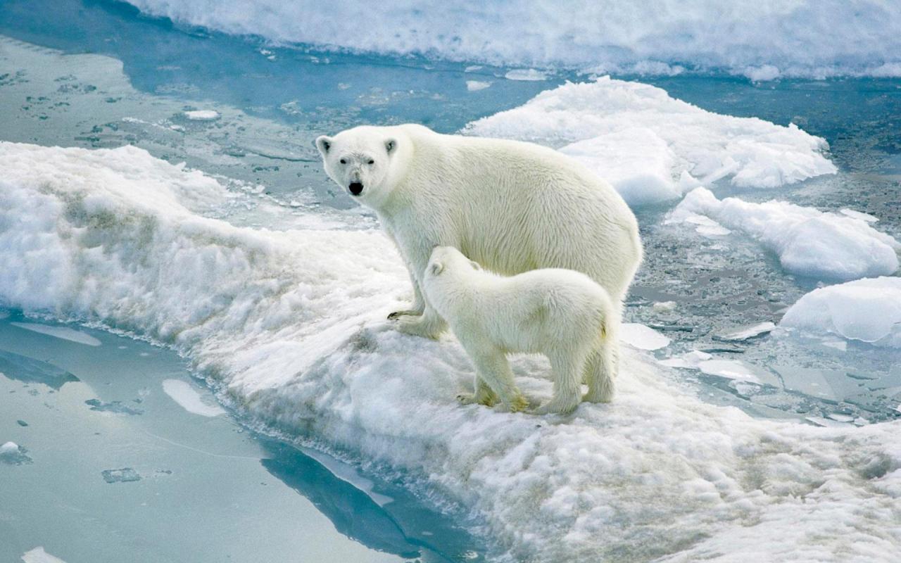 加班到深夜听一下Just Blue放松一下