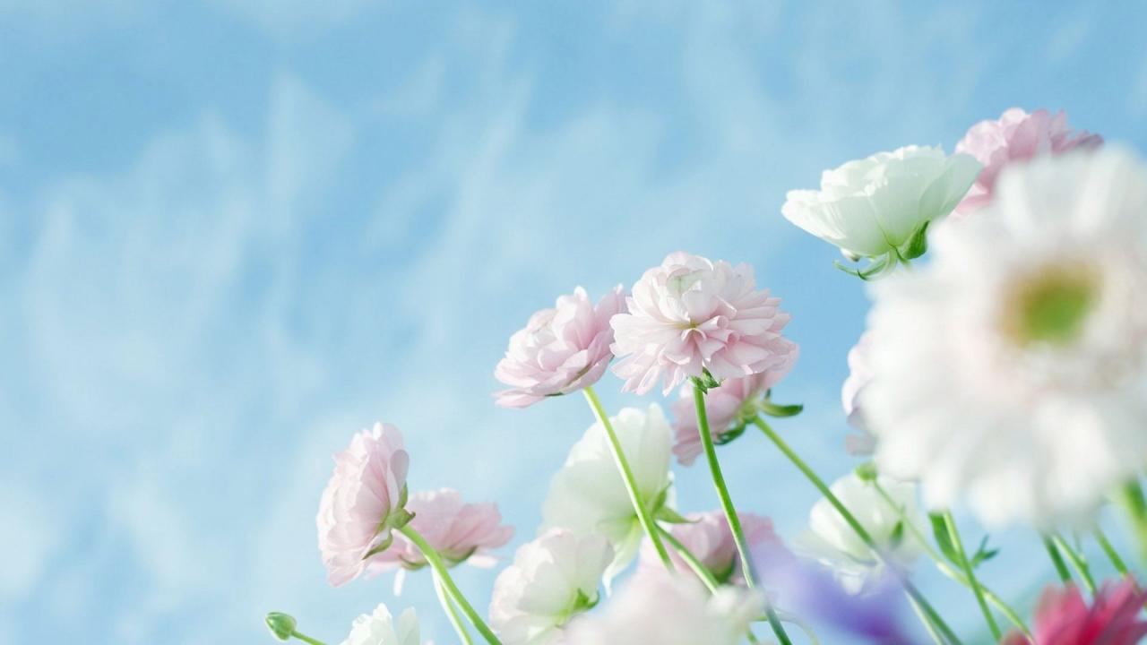 喝酒后多少时间开车才安全