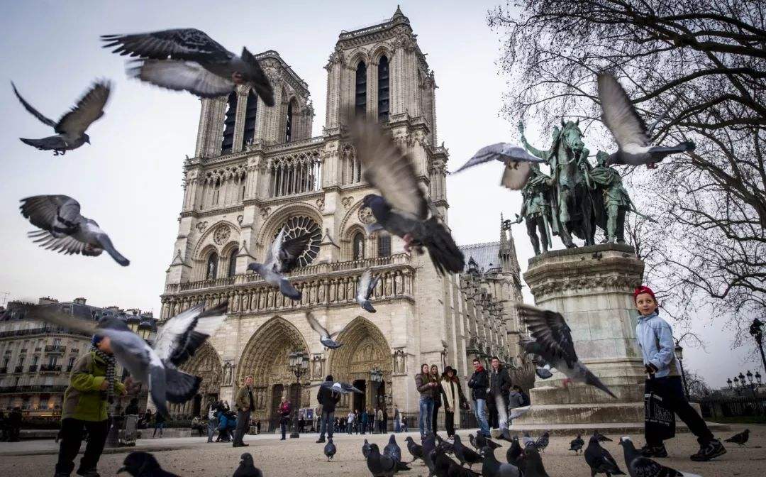 《巴黎圣母院》读后随笔