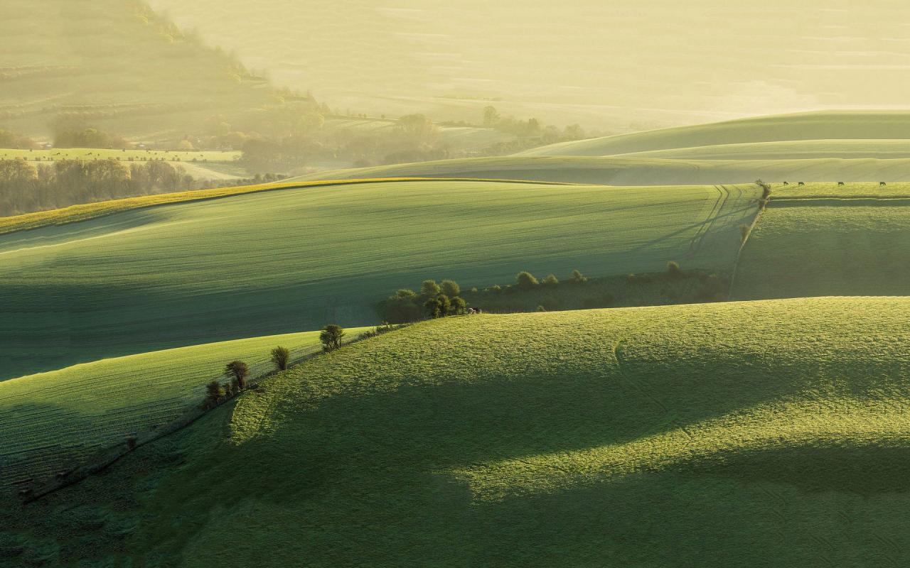 一首辛晓琪的《味道》送给你