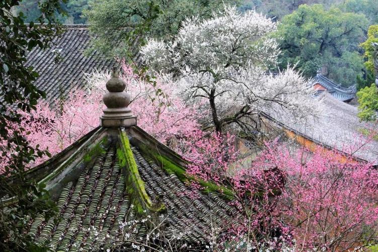 故地重游，感受古刹的静谧与禅意