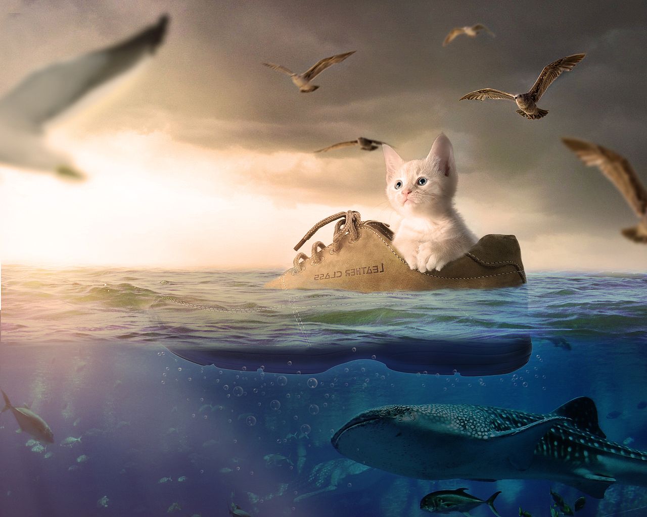 《鲁滨孙漂流记》读后感