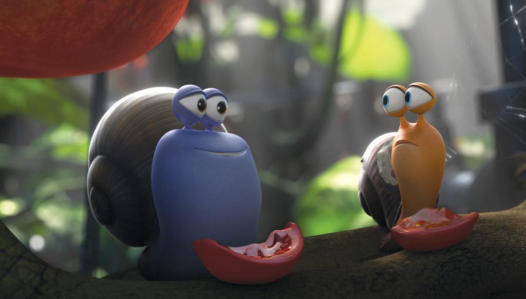 科学作业 观察蜗牛