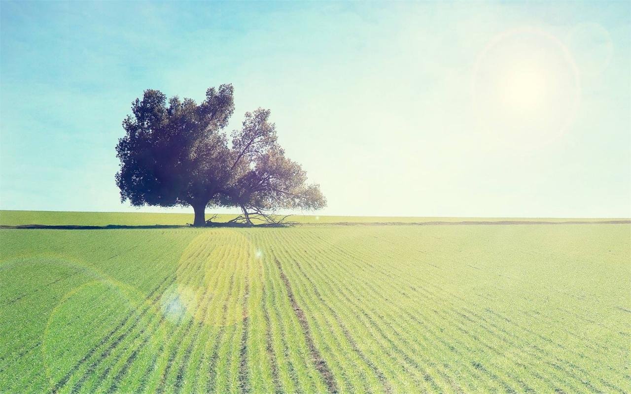 今日冬至 我们天台冬至的习俗