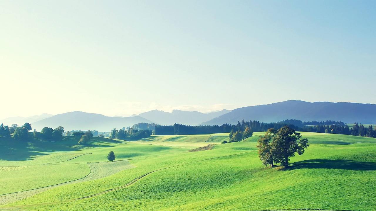 听张靓颖演绎的The Diva Dance 享受片刻的宁静与放松