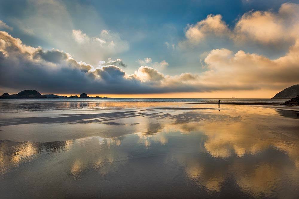 又教查字典 和孩子一起走过所有的学习细节
