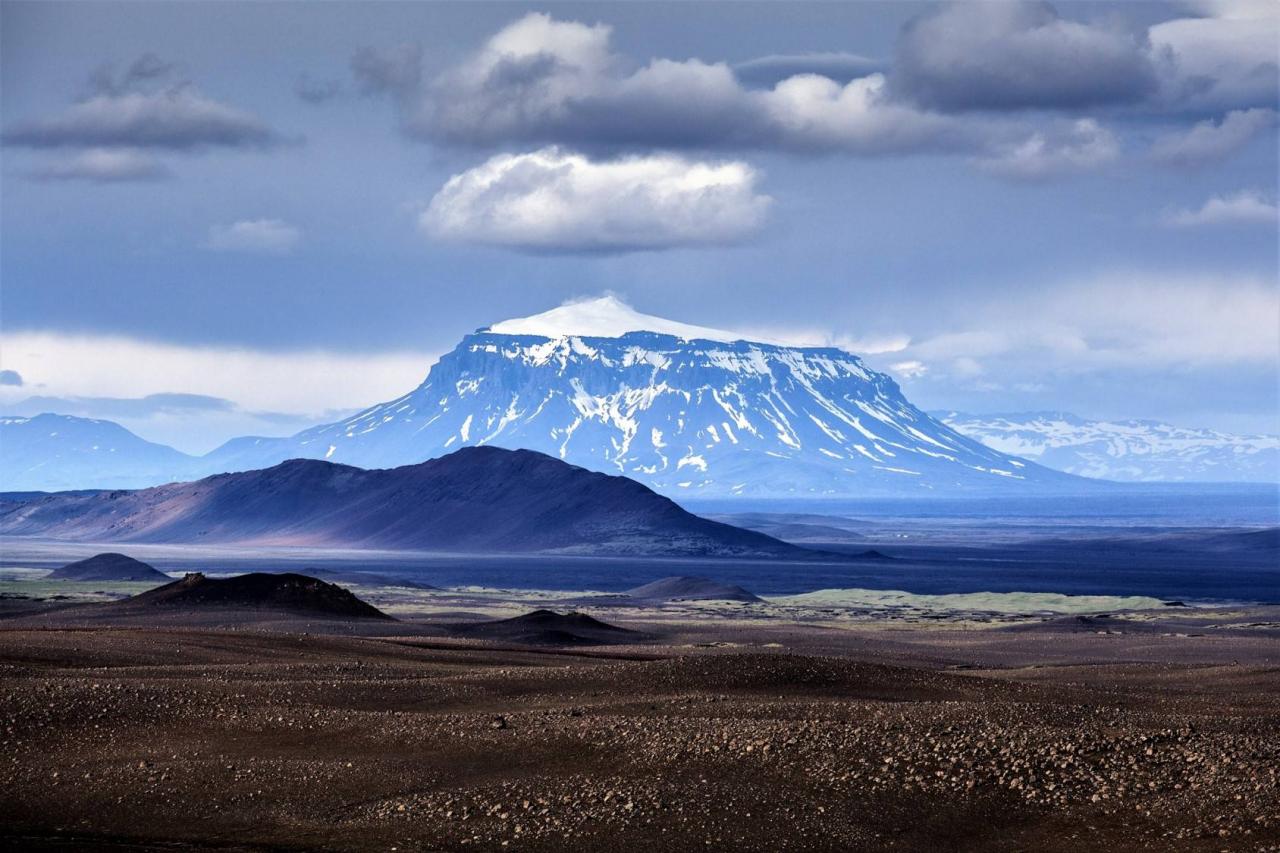 网易云都知道我该减肥了