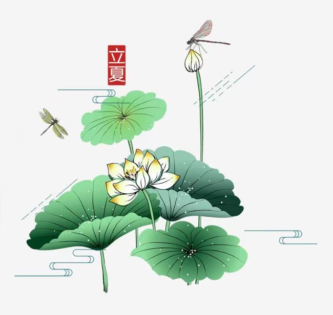 立夏日怀念阿婆