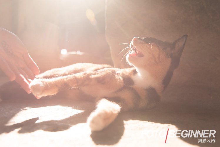 让你拍的相片更具趣味的6个技巧