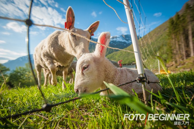 让你拍的相片更具趣味的6个技巧