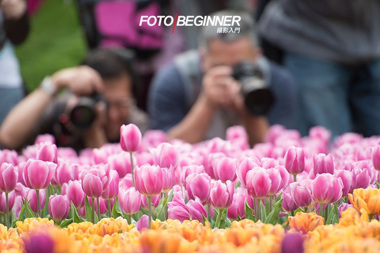 8个提升摄影功力的必备技巧 8个提升摄影功力的必备技巧