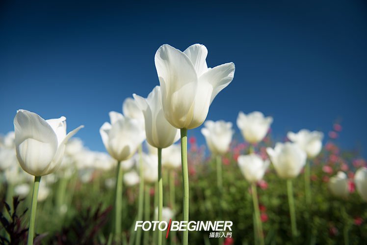 8个提升摄影功力的必备技巧 8个提升摄影功力的必备技巧