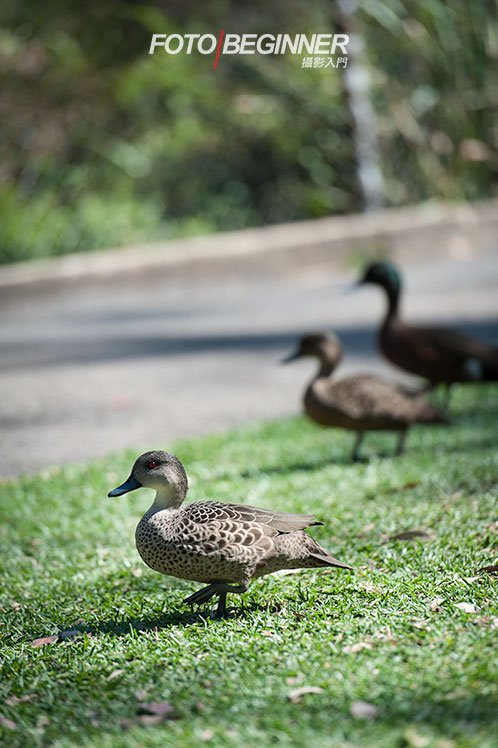 8个提升摄影功力的必备技巧 8个提升摄影功力的必备技巧