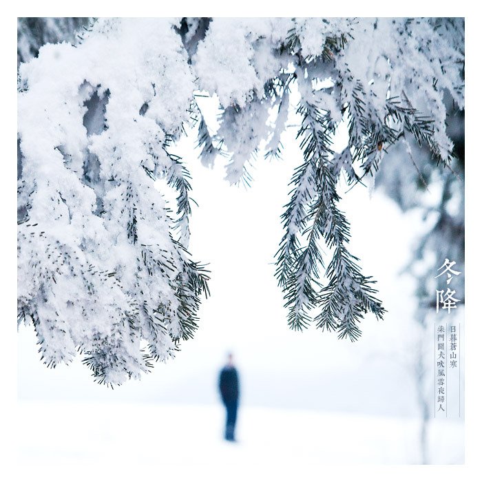 超实用的冬季雪景拍摄技巧