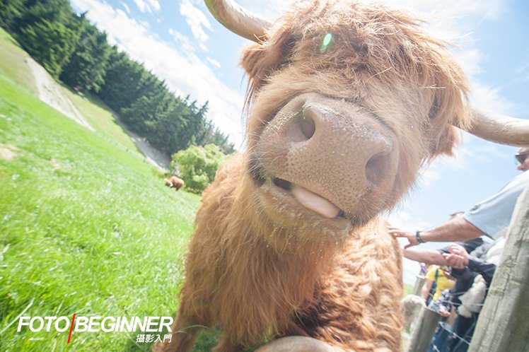 5个旅行时拍出好照片的技巧 5个旅行时拍出好照片的技巧