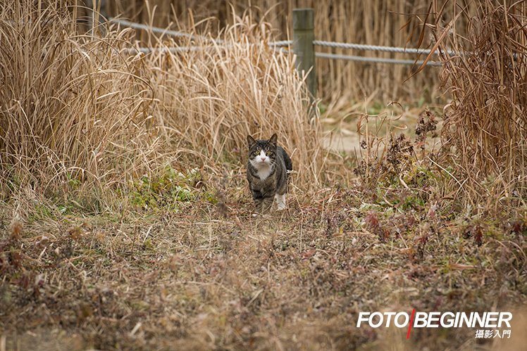 5个旅行时拍出好照片的技巧 5个旅行时拍出好照片的技巧