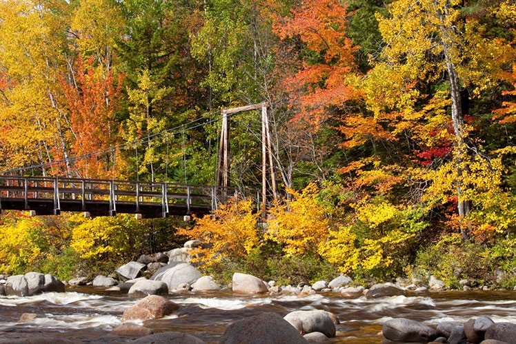 7个拍出漂亮秋天风景的技巧 7个拍出漂亮秋天风景的技巧