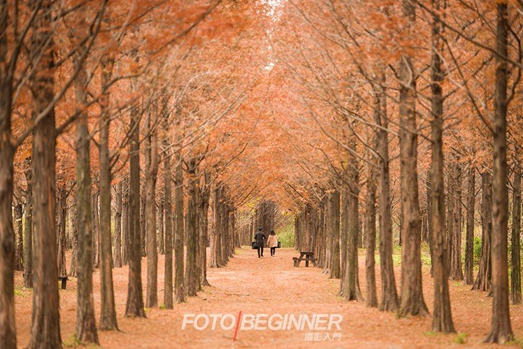 7个拍出漂亮秋天风景的技巧 7个拍出漂亮秋天风景的技巧