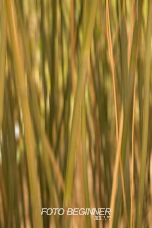 7个拍出漂亮秋天风景的技巧 7个拍出漂亮秋天风景的技巧