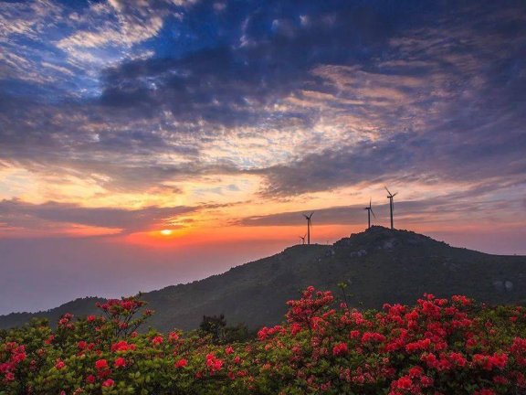 华顶国家森林公园：四季美景，天然氧吧