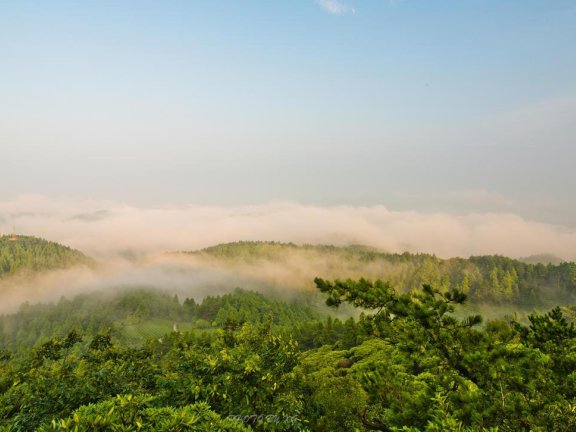 华顶国家森林公园