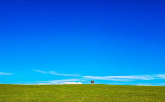 手机摄影掌握好这些构图和用光技巧