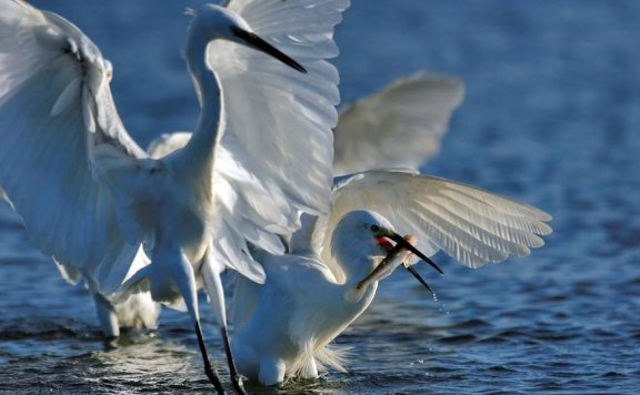 始丰湖是我家的后花园
