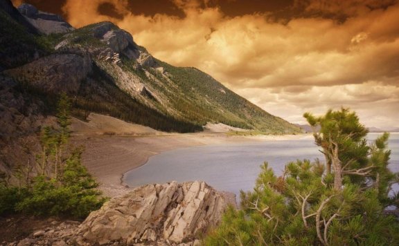 月光下的影子《Moonlight Shadow》可以单曲循环一整天