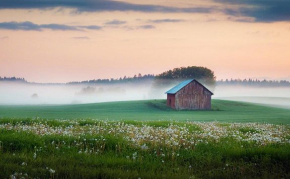 张雨生唱的《大海》是一首情歌吗