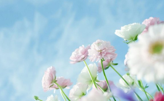 下雨的声音 来自大自然的馈赠