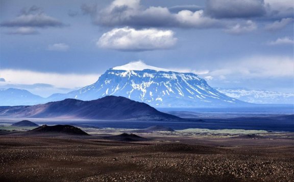 网易云都知道我该减肥了